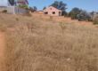 Vente d’un beau terrain de 2919 m2 situé à Ambohimena Ilafy