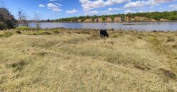 En vente un terrain exceptionnel d’un hectare pieds dans l’eau situé à Mahavelona