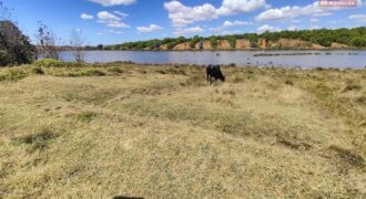 En vente un terrain exceptionnel d’un hectare pieds dans l’eau situé à Mahavelona En vente un terrain exceptionnel d’un hectare pieds dans l’eau situé à Mahavelona