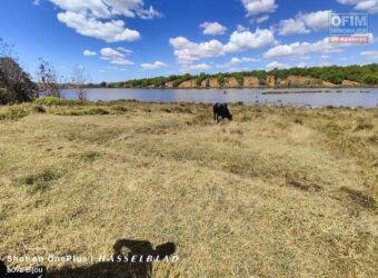 En vente un terrain exceptionnel d’un hectare pieds dans l’eau situé à Mahavelona
