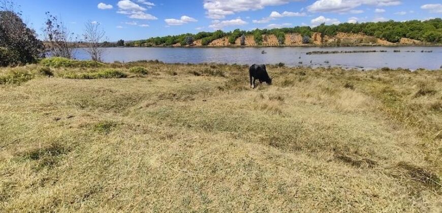 En vente un terrain exceptionnel d’un hectare pieds dans l’eau situé à Mahavelona