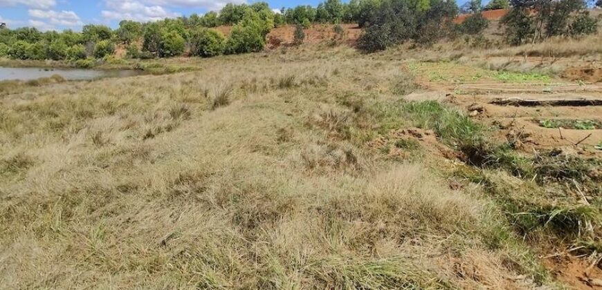 En vente un terrain exceptionnel d’un hectare pieds dans l’eau situé à Mahavelona