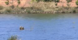 En vente un terrain exceptionnel d’un hectare pieds dans l’eau situé à Mahavelona