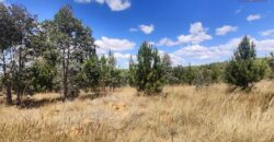 En vente un terrain exceptionnel d’un hectare pieds dans l’eau situé à Mahavelona