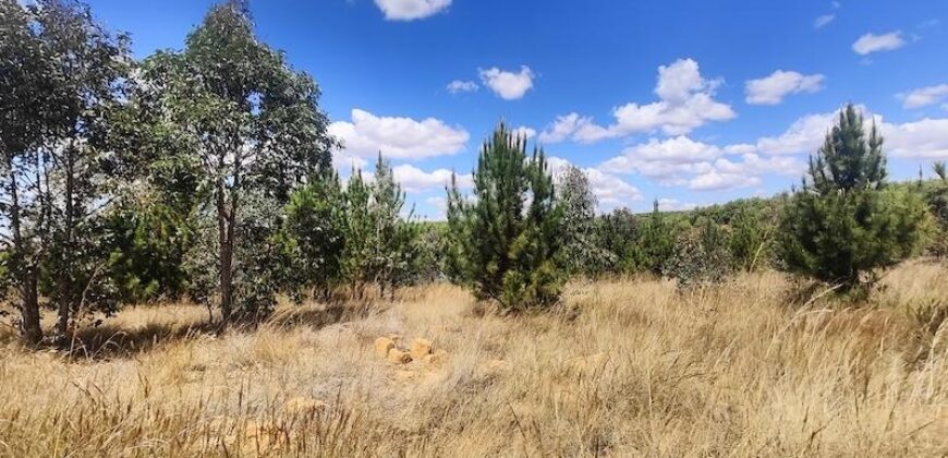 En vente un terrain exceptionnel d’un hectare pieds dans l’eau situé à Mahavelona