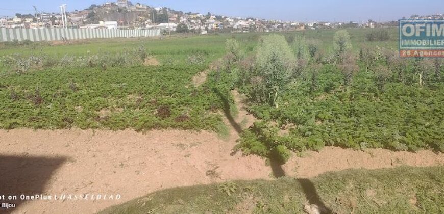 En vente un terrain de 1 000 m² situé dans un quartier calme et résidentiel à Andranomena En vente un terrain de 1 000 m² situé dans un quartier calme et résidentiel à Andranomena