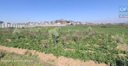 En vente un terrain de 1 000 m² situé dans un quartier calme et résidentiel à Andranomena En vente un terrain de 1 000 m² situé dans un quartier calme et résidentiel à Andranomena