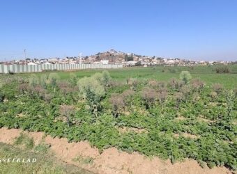 En vente un terrain de 1 000 m² situé dans un quartier calme et résidentiel à Andranomena