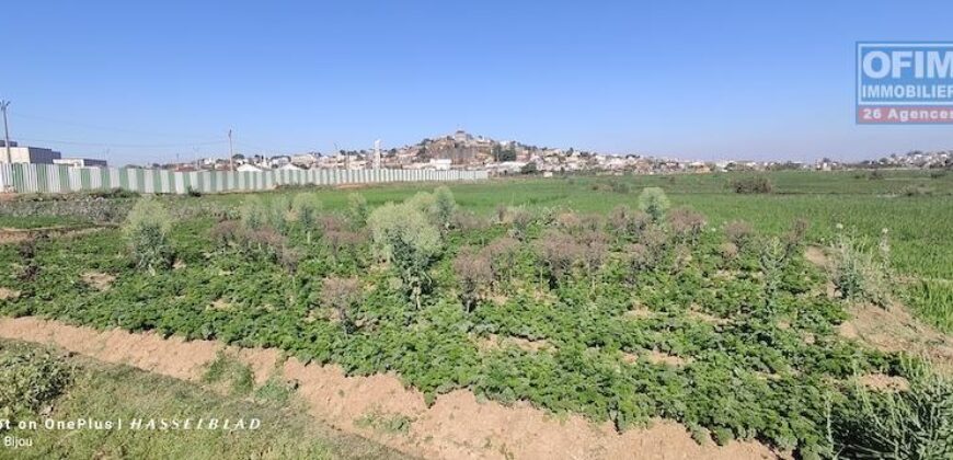 En vente un terrain de 1 000 m² situé dans un quartier calme et résidentiel à Andranomena En vente un terrain de 1 000 m² situé dans un quartier calme et résidentiel à Andranomena