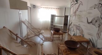 Location d’un appartement T2 en duplex situé dans un quartier calme et sécurisé à Androhibe