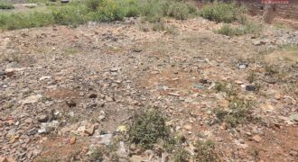 À vendre un terrain exceptionnel de 2134 m2 situé à Ankasina