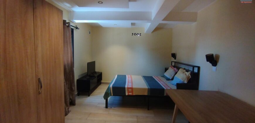 À vendre villa moderne F6 meublée + studio et maison F3 à rénover à Ambohibao