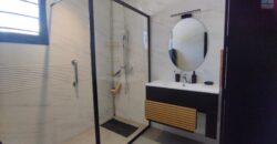 À vendre villa moderne F6 meublée + studio et maison F3 à rénover à Ambohibao