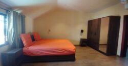 À vendre villa moderne F6 meublée + studio et maison F3 à rénover à Ambohibao