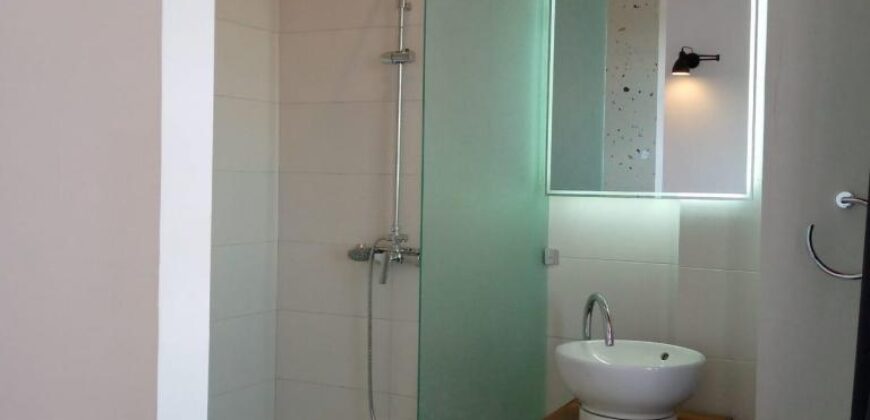 À vendre villa meublée de type F4 située en plein centre-ville à Ambohijatovo Ambony