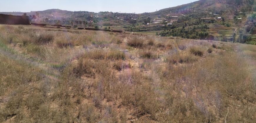 En vente un terrain de 9 000 m² idéalement situé le long de la RN2, à Ambohimalaza