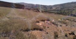 En vente un terrain de 9 000 m² idéalement situé le long de la RN2, à Ambohimalaza