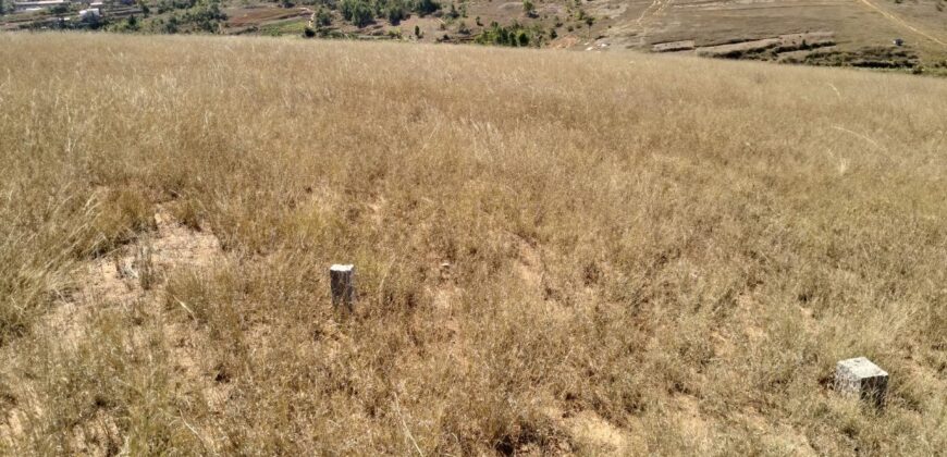 En vente un terrain de 9 000 m² idéalement situé le long de la RN2, à Ambohimalaza