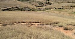 En vente un terrain de 9 000 m² idéalement situé le long de la RN2, à Ambohimalaza