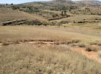 En vente un terrain de 9 000 m² idéalement situé le long de la RN2, à Ambohimalaza
