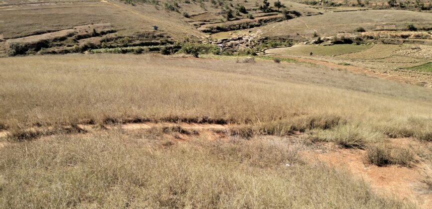 En vente un terrain de 9 000 m² idéalement situé le long de la RN2, à Ambohimalaza