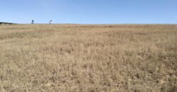 En vente un terrain de 9 000 m² idéalement situé le long de la RN2, à Ambohimalaza