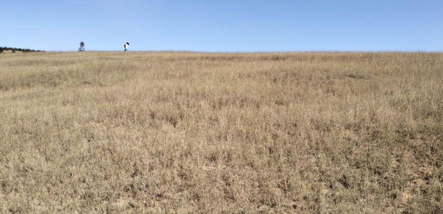 En vente un terrain de 9 000 m² idéalement situé le long de la RN2, à Ambohimalaza