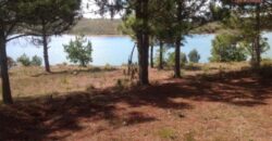 En vente un beau terrain de 3500 m2 situé à Mantasoa