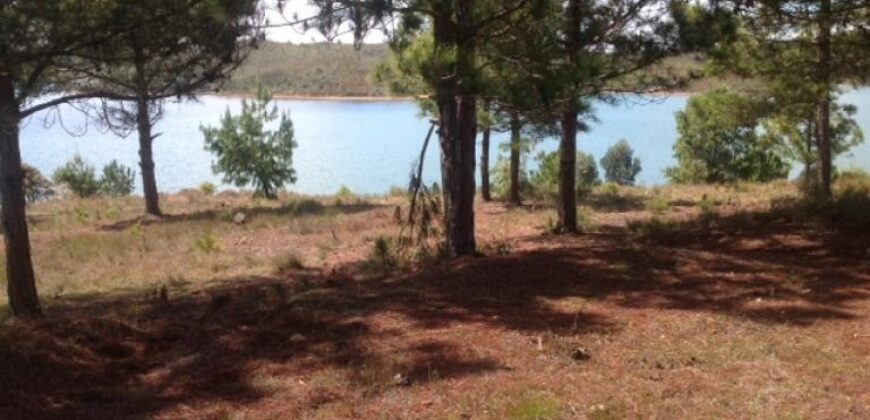 En vente un beau terrain de 3500 m2 situé à Mantasoa