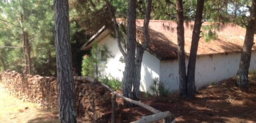 En vente un beau terrain de 3500 m2 situé à Mantasoa