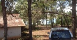 En vente un beau terrain de 3500 m2 situé à Mantasoa