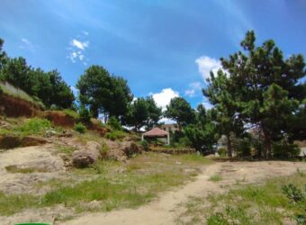 À vendre terrain de 3000 m2 entièrement clôturé situé Abohimalaza- Antananarivo