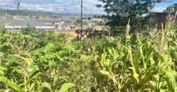 À vendre un terrain clôturé prêt à bâtir de 596 m2 situé à Ambatomaro Antsobolo