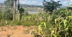 À vendre un terrain clôturé prêt à bâtir de 596 m2 situé à Ambatomaro Antsobolo