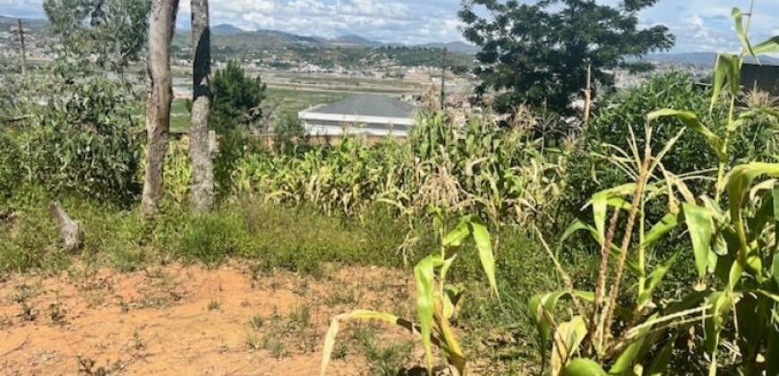 À vendre un terrain clôturé prêt à bâtir de 596 m2 situé à Ambatomaro Antsobolo