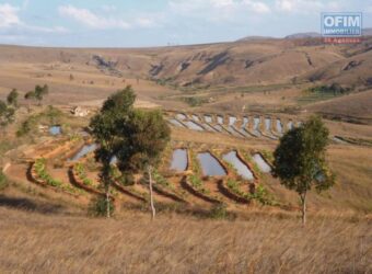 À vendre un vaste terrain agricole de 25 hectares situé à Ankazobe