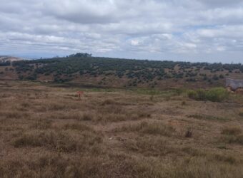 En vente un terrain prêt à bâtir de 9 877 m² situé à Ambohimalaza Antananarivo