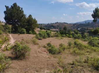 À vendre un vaste terrain de 8194 m2 réparti sur deux niveaux situé à Ambohimanga Antananarivo