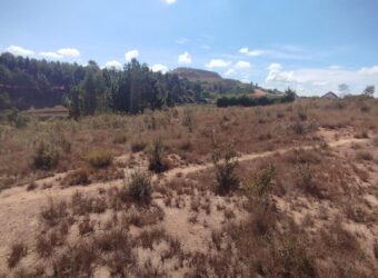 En vente un terrain de 3 180 m² situé sur les hauteurs d’Ambohimanambola à Antananarivo
