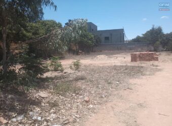 Location d&rsquo;un terrain plat clôturé de 1500 m2 situé à Ilafy Andranovelona Tananarive