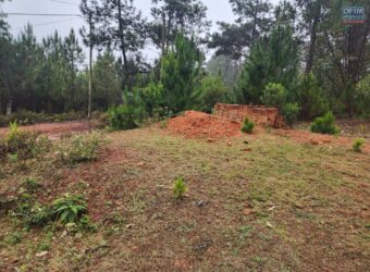 À vendre un beau terrain de 600 m2 situé dans un quartier résidentiel calme et paisible situé à Mantasoa Madagascar