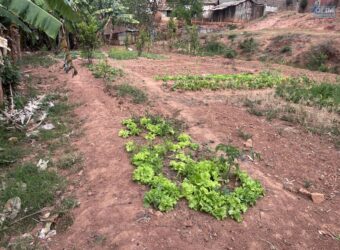 En vente un terrain clôturé de 1375 m2 aménagé sur deux niveaux situé Ambohijanahary Antehiro Tananarive